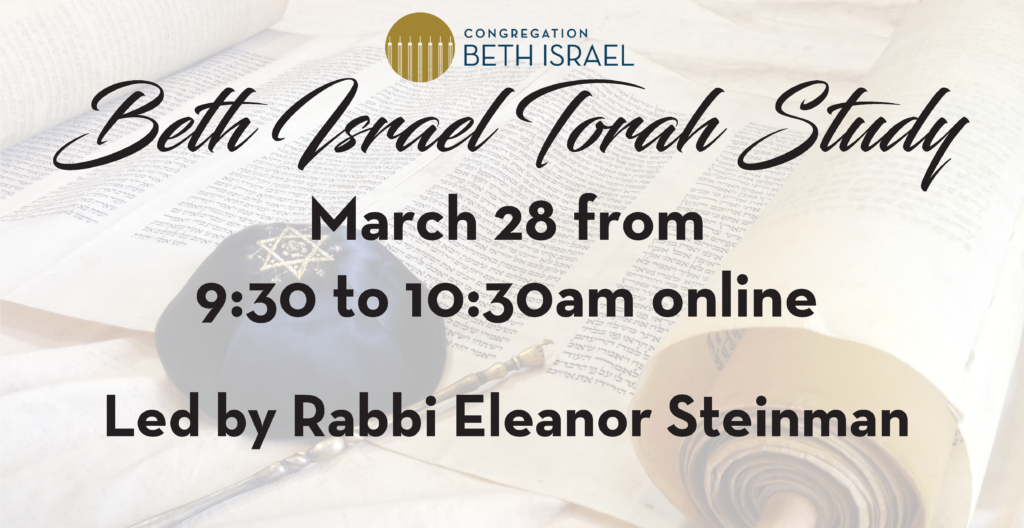 Shabbat Morning Torah Study 3