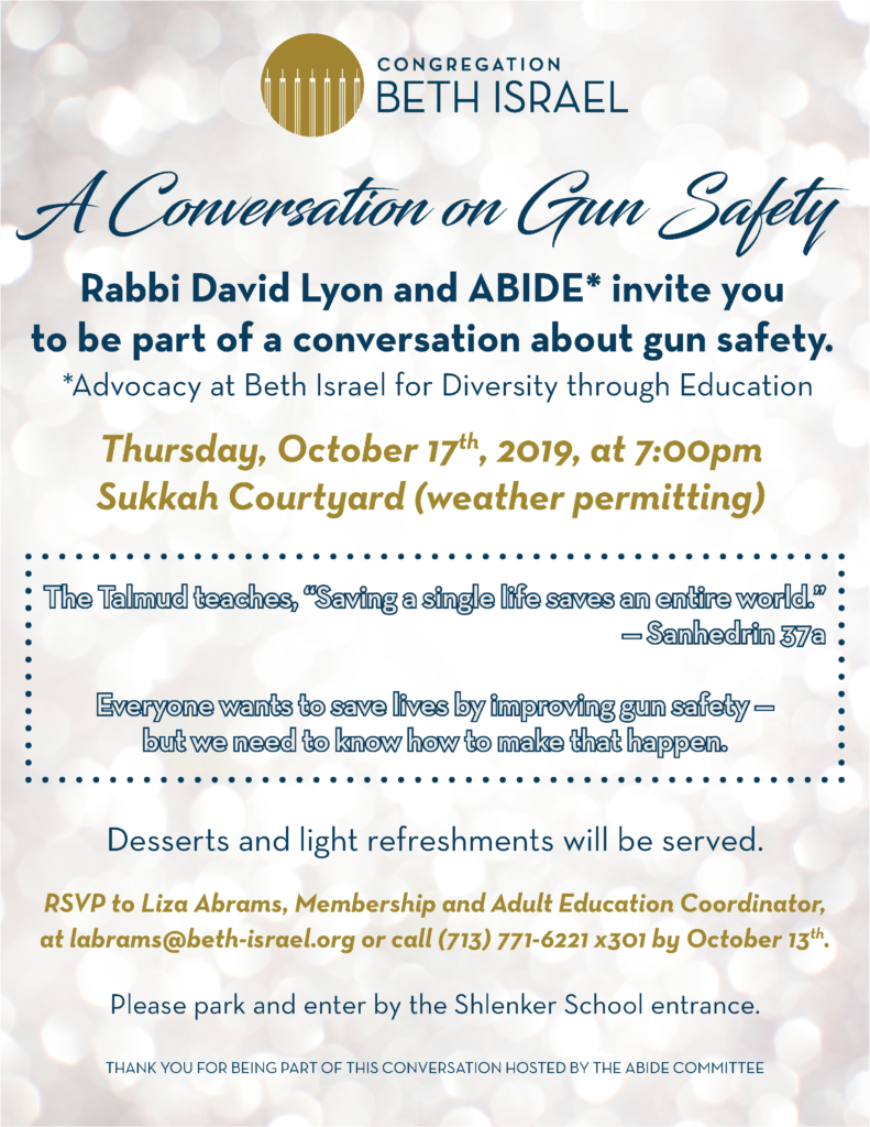 ABIDE Conversation on Gun Safety 3