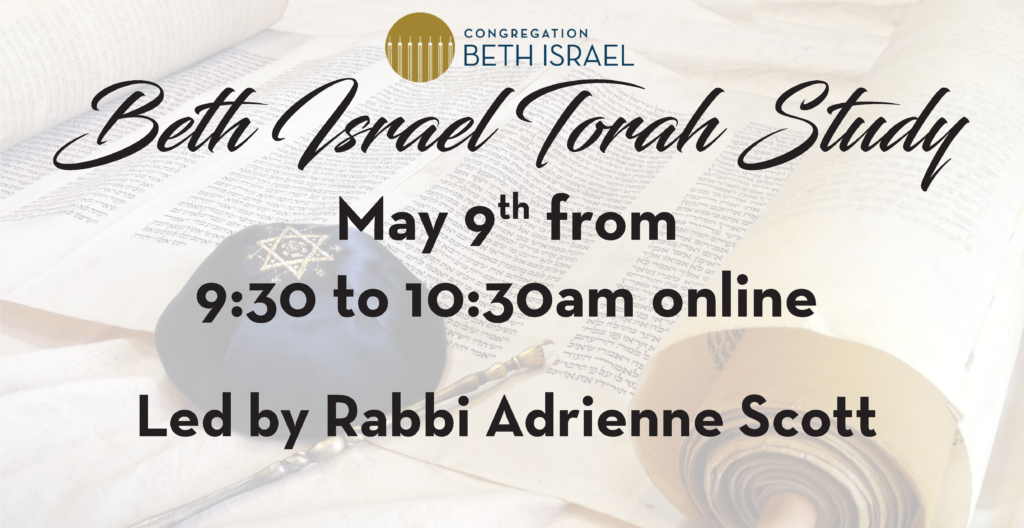 Shabbat Morning Torah Study 3